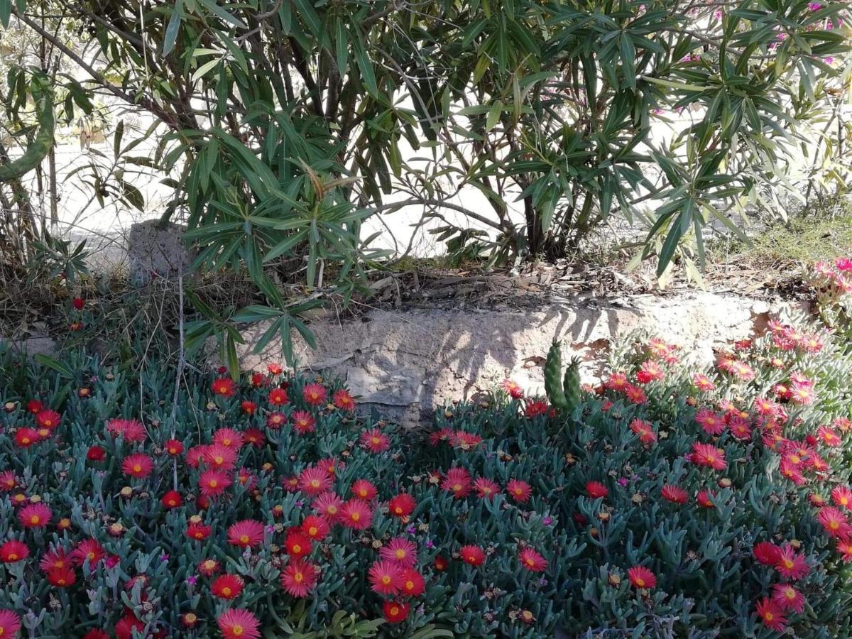 Apartment Perfect For Exploring Local Areas And Torrevieja